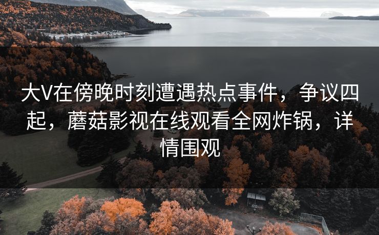 大V在傍晚时刻遭遇热点事件，争议四起，蘑菇影视在线观看全网炸锅，详情围观