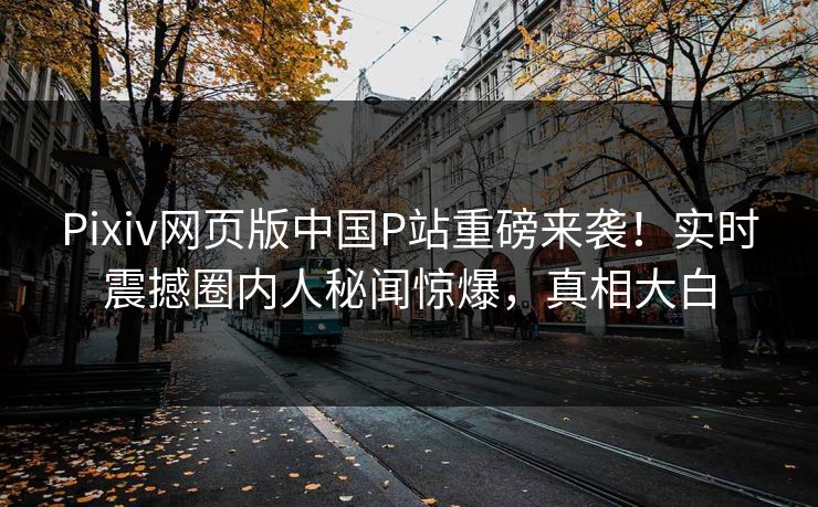 Pixiv网页版中国P站重磅来袭！实时震撼圈内人秘闻惊爆，真相大白