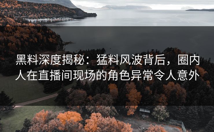 黑料深度揭秘：猛料风波背后，圈内人在直播间现场的角色异常令人意外
