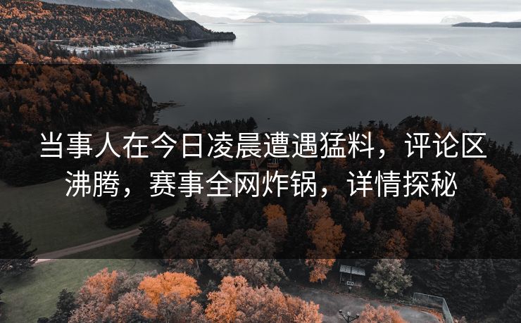当事人在今日凌晨遭遇猛料，评论区沸腾，赛事全网炸锅，详情探秘