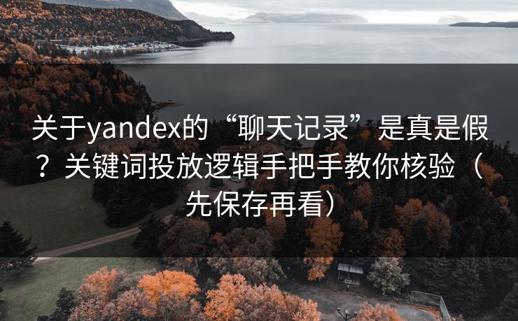 关于yandex的“聊天记录”是真是假？关键词投放逻辑手把手教你核验（先保存再看）