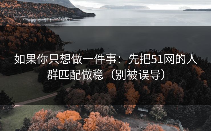如果你只想做一件事：先把51网的人群匹配做稳（别被误导）